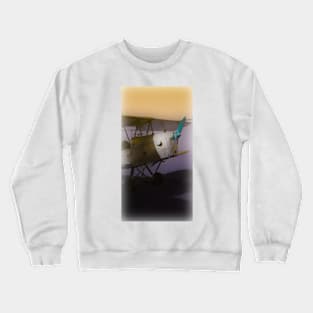 Tiger Moth Crewneck Sweatshirt